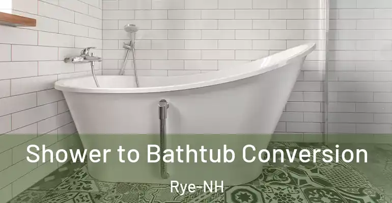 inner Bathroom imggen Shower to Bathtub Conversion Rye-NH