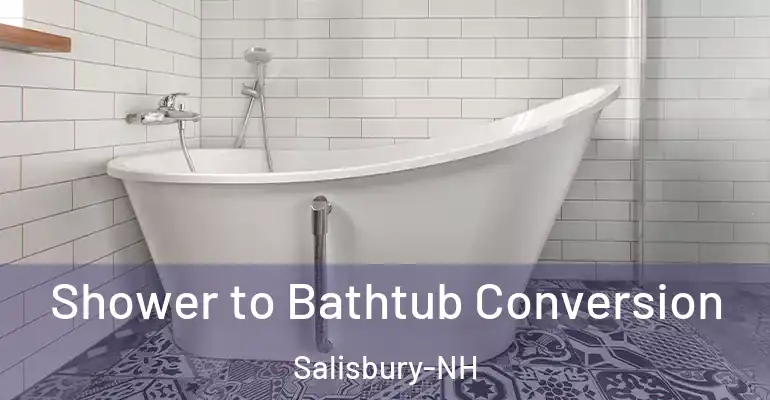 inner Bathroom imggen Shower to Bathtub Conversion Salisbury-NH