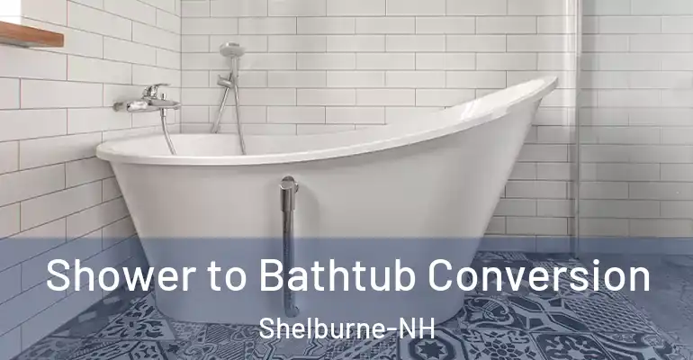 inner Bathroom imggen Shower to Bathtub Conversion Shelburne-NH