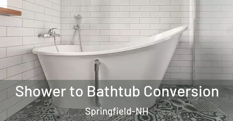 inner Bathroom imggen Shower to Bathtub Conversion Springfield-NH