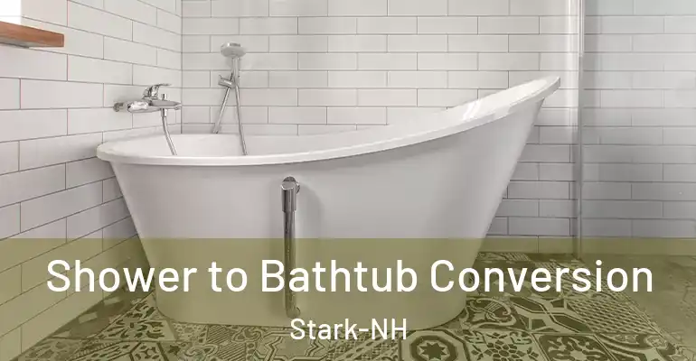 inner Bathroom imggen Shower to Bathtub Conversion Stark-NH