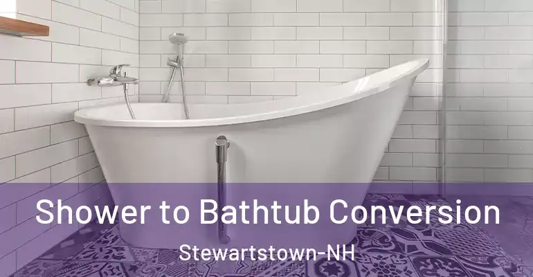 inner Bathroom imggen Shower to Bathtub Conversion Stewartstown-NH