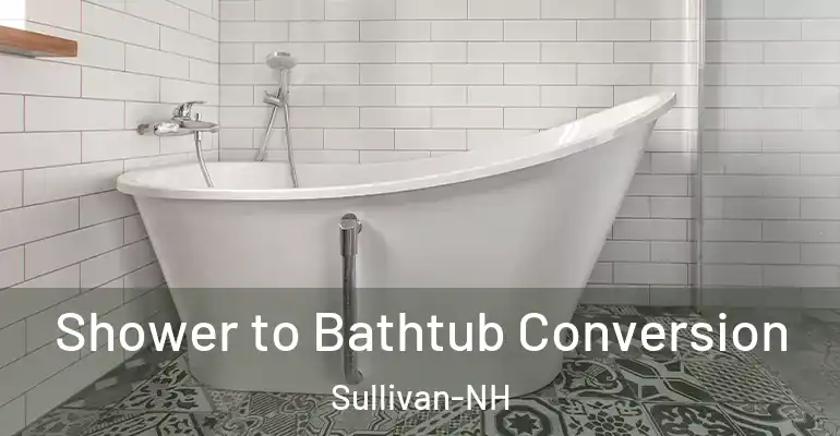 inner Bathroom imggen Shower to Bathtub Conversion Sullivan-NH