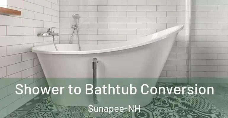 inner Bathroom imggen Shower to Bathtub Conversion Sunapee-NH
