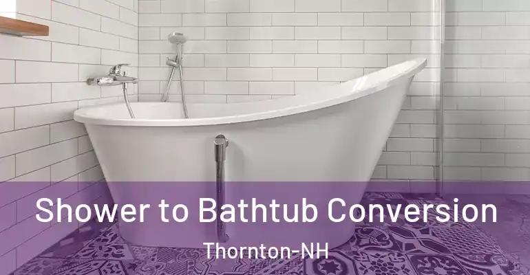 inner Bathroom imggen Shower to Bathtub Conversion Thornton-NH