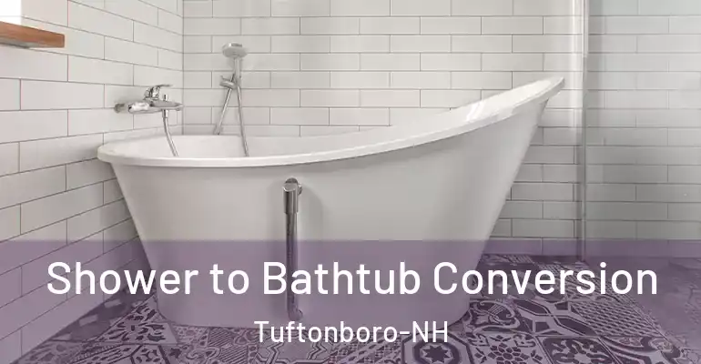 inner Bathroom imggen Shower to Bathtub Conversion Tuftonboro-NH