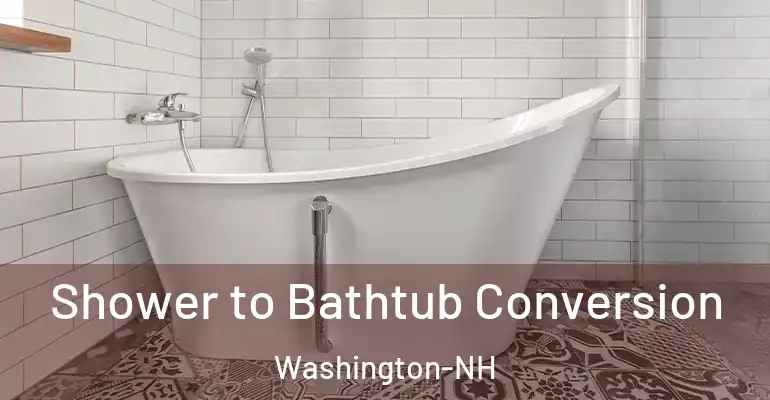 inner Bathroom imggen Shower to Bathtub Conversion Washington-NH
