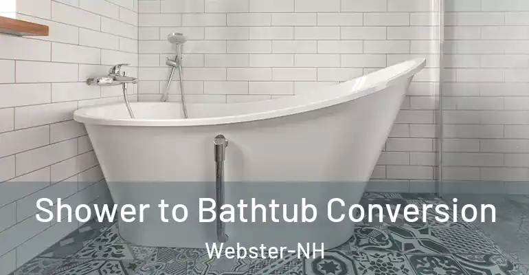 inner Bathroom imggen Shower to Bathtub Conversion Webster-NH