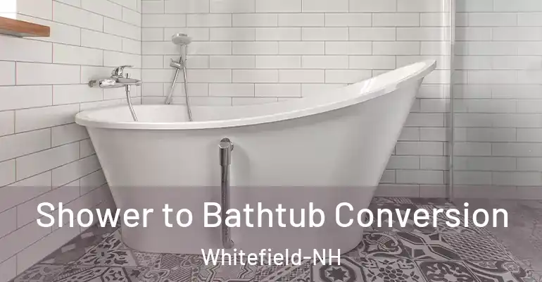 inner Bathroom imggen Shower to Bathtub Conversion Whitefield-NH
