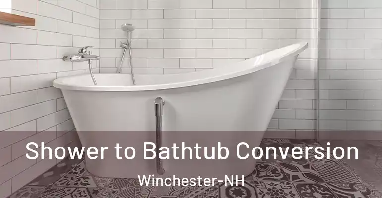 inner Bathroom imggen Shower to Bathtub Conversion Winchester-NH