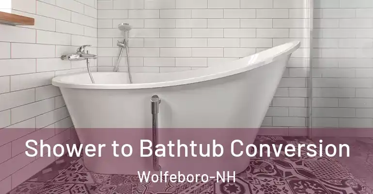 inner Bathroom imggen Shower to Bathtub Conversion Wolfeboro-NH