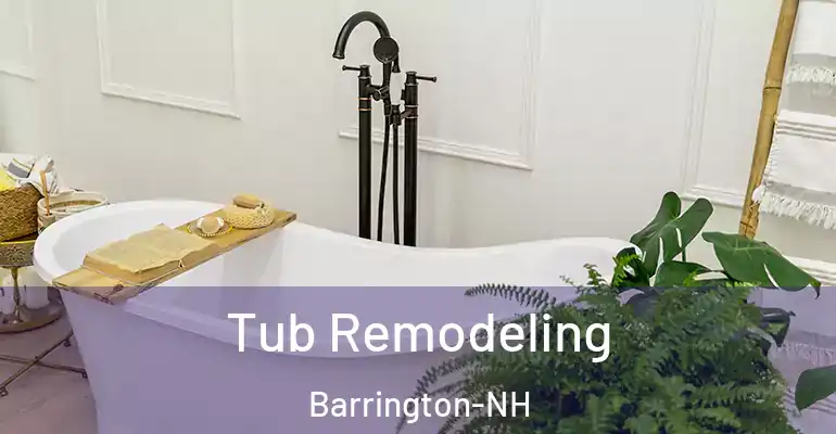 inner Bathroom imggen Tub Remodeling Barrington-NH