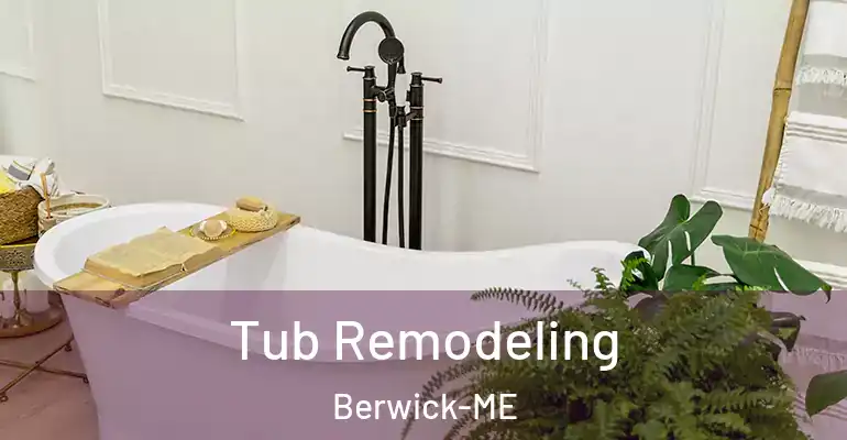 inner Bathroom imggen Tub Remodeling Berwick-ME
