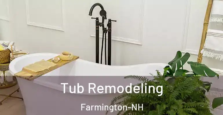 inner Bathroom imggen Tub Remodeling Farmington-NH