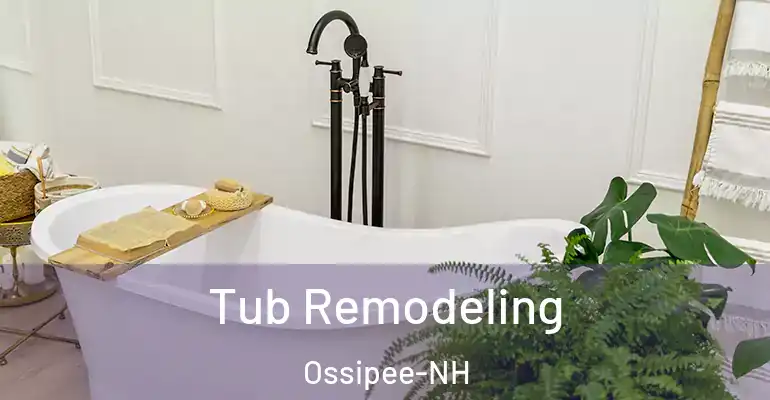 inner Bathroom imggen Tub Remodeling Ossipee-NH