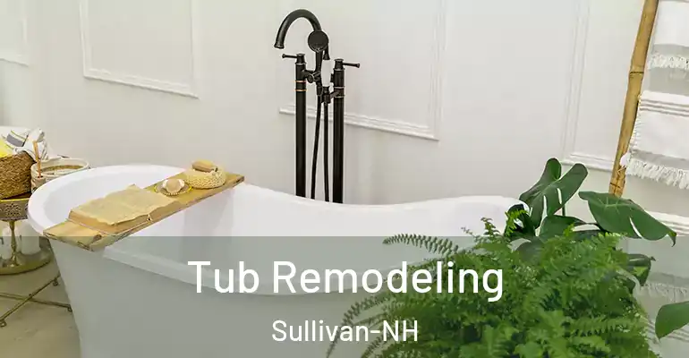 inner Bathroom imggen Tub Remodeling Sullivan-NH