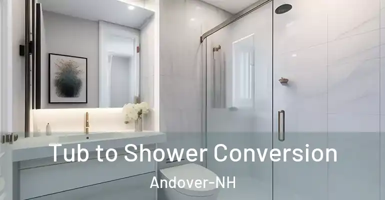 inner Bathroom imggen Tub to Shower Conversion Andover-NH