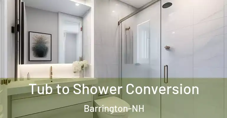 inner Bathroom imggen Tub to Shower Conversion Barrington-NH