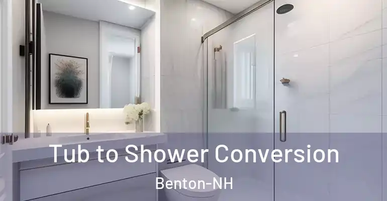inner Bathroom imggen Tub to Shower Conversion Benton-NH