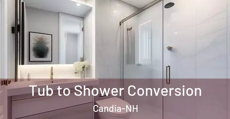 inner Bathroom imggen Tub to Shower Conversion Candia-NH