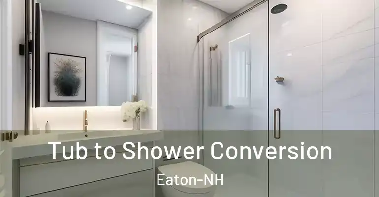 inner Bathroom imggen Tub to Shower Conversion Eaton-NH