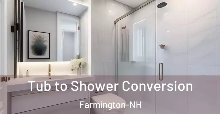 inner Bathroom imggen Tub to Shower Conversion Farmington-NH