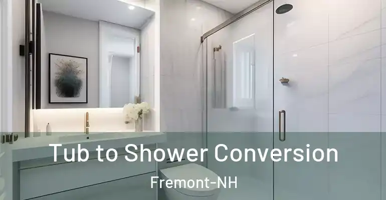 inner Bathroom imggen Tub to Shower Conversion Fremont-NH