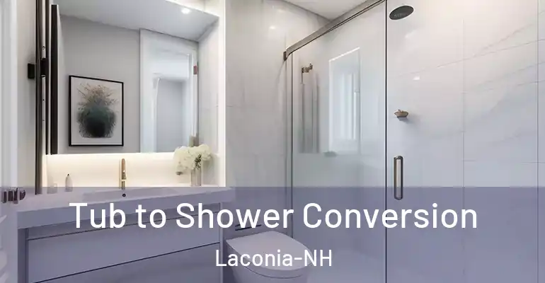 inner Bathroom imggen Tub to Shower Conversion Laconia-NH