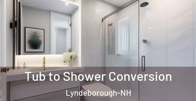 inner Bathroom imggen Tub to Shower Conversion Lyndeborough-NH