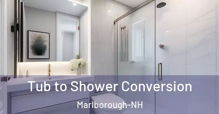 inner Bathroom imggen Tub to Shower Conversion Marlborough-NH