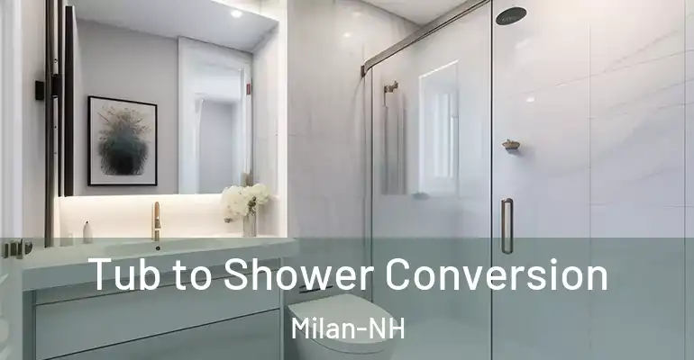 inner Bathroom imggen Tub to Shower Conversion Milan-NH