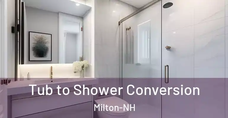 inner Bathroom imggen Tub to Shower Conversion Milton-NH