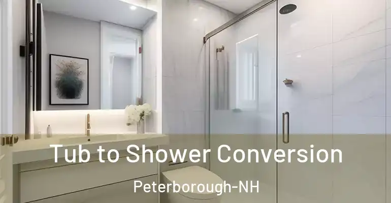 inner Bathroom imggen Tub to Shower Conversion Peterborough-NH