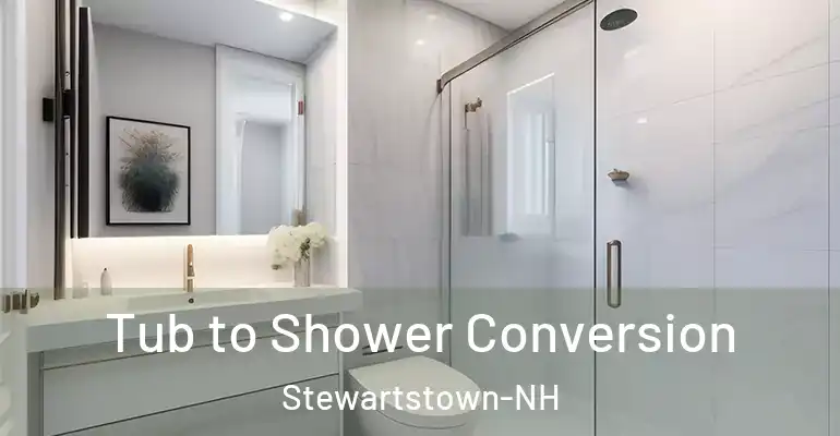 inner Bathroom imggen Tub to Shower Conversion Stewartstown-NH