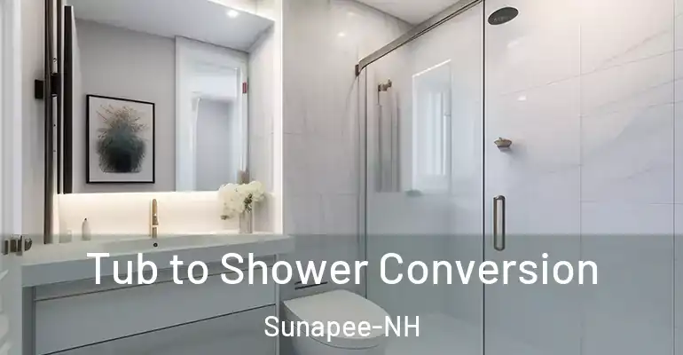 inner Bathroom imggen Tub to Shower Conversion Sunapee-NH