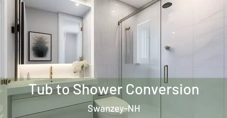 inner Bathroom imggen Tub to Shower Conversion Swanzey-NH