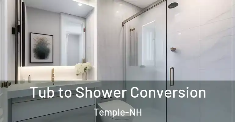 inner Bathroom imggen Tub to Shower Conversion Temple-NH