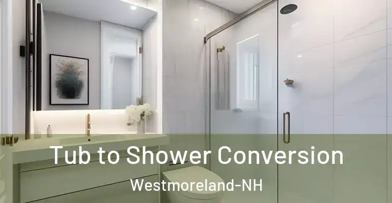 inner Bathroom imggen Tub to Shower Conversion Westmoreland-NH