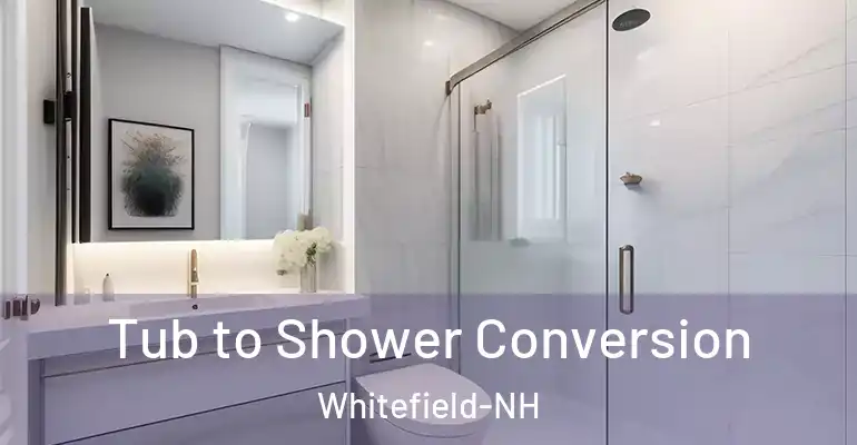 inner Bathroom imggen Tub to Shower Conversion Whitefield-NH