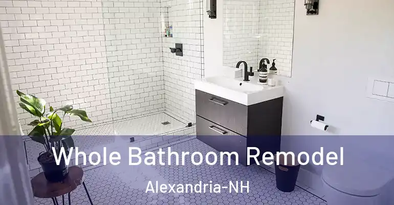 inner Bathroom imggen Whole Bathroom Remodel Alexandria-NH